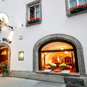 Wolf Salzburgo